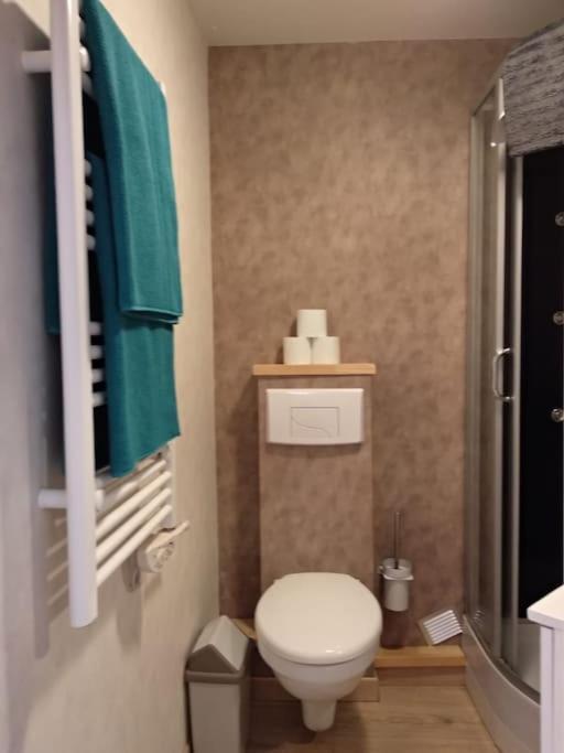 Appartement Centre Ville Rose Тулуза Экстерьер фото